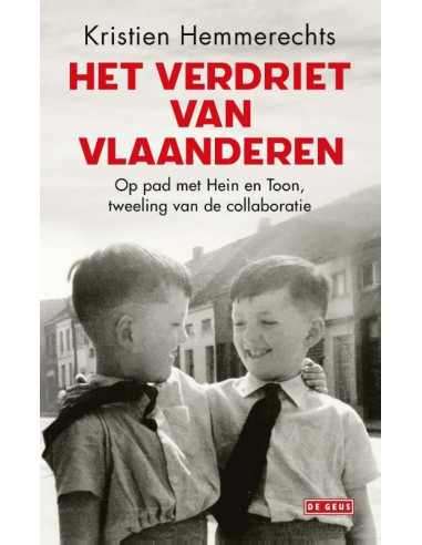 Het verdriet van Vlaanderen