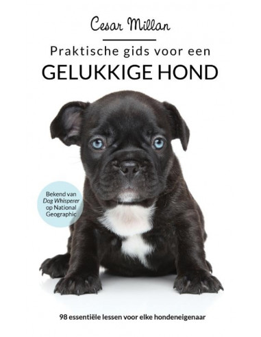 Praktische gids voor een gelukkige hond