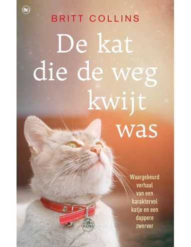 De kat die de weg kwijt was