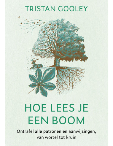 Hoe lees je een boom