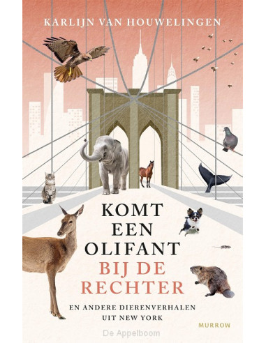 Komt een olifant bij de rechter