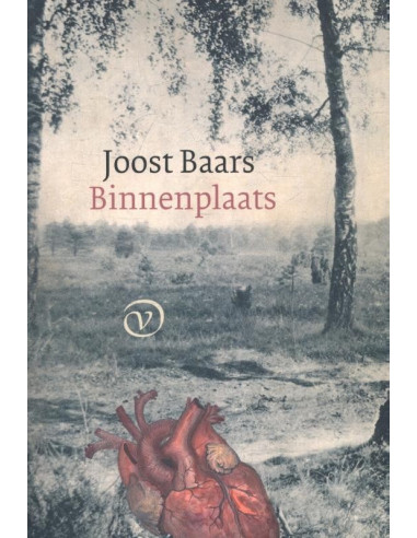 Binnenplaats