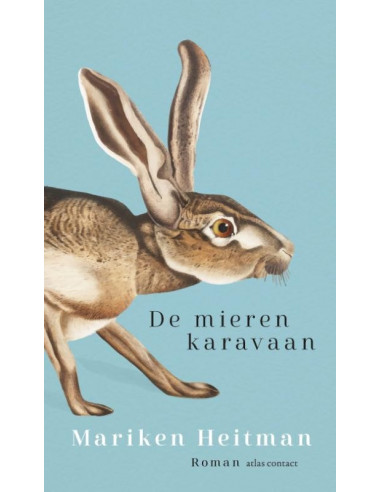 Mierenkaravaan