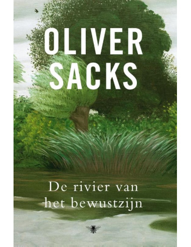 De rivier van het bewustzijn