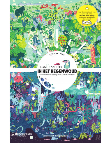 Dag & nacht: in het regenwoud