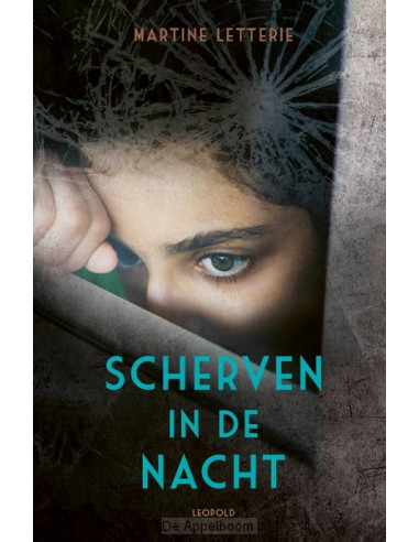 Scherven in de nacht