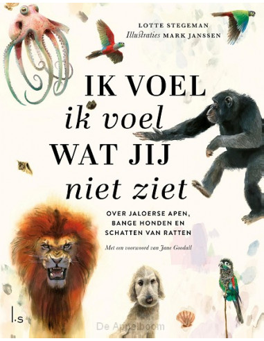 Ik voel ik voel wat jij niet ziet