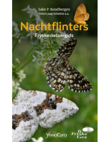 Nachtflinters