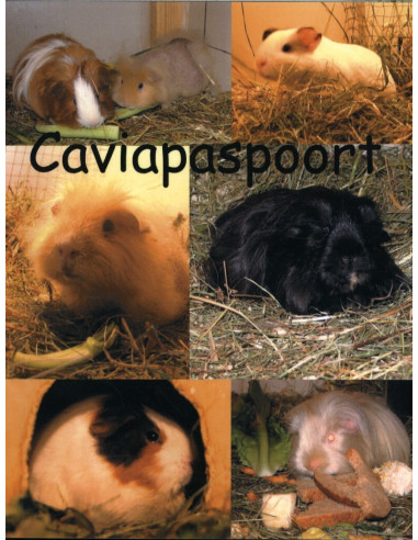 Caviapaspoort