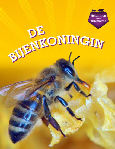 De bijenkoningin - Hoofd van de kolonie