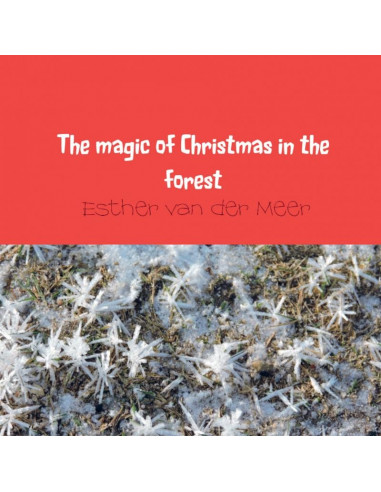 The magic of Christmas in the forest