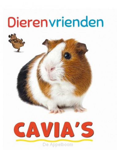 Cavia