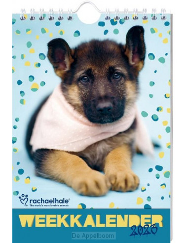 Rachael Hale Hond weekkalender / 2023