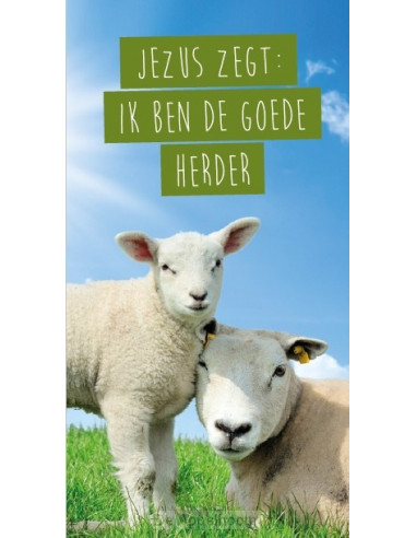 Magneetboekenlegger De goede Herder