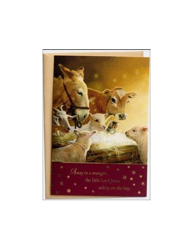 Boxed Christmas Card (18) Away Manger