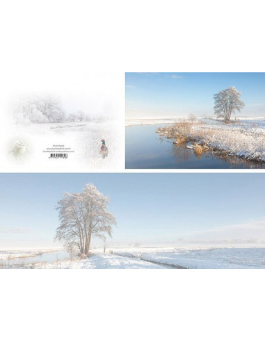 Panoramawenskaart winterbeek