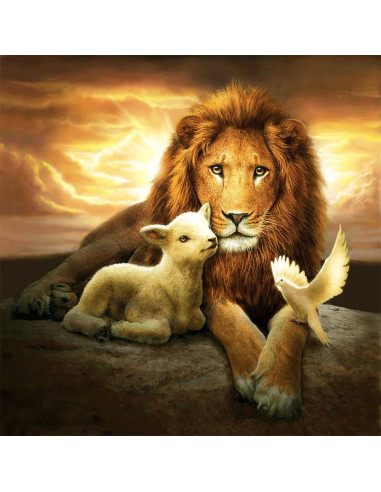 Lion & the lamb 40x40cm square drill