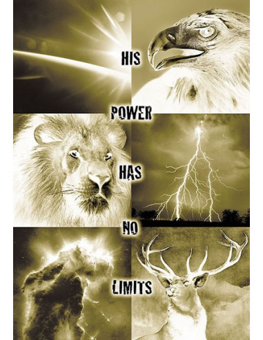 Poster a2 His power has no limits