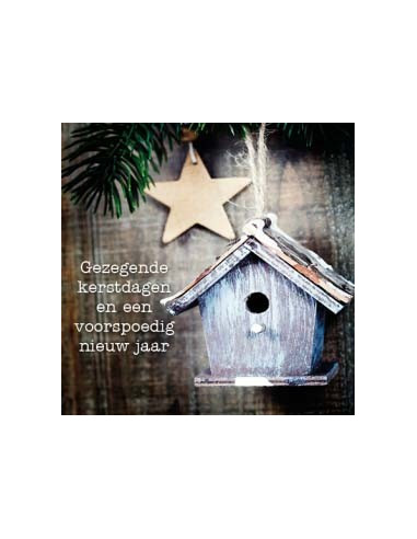 Kerstkaart vogelhuisje en ster gezegende