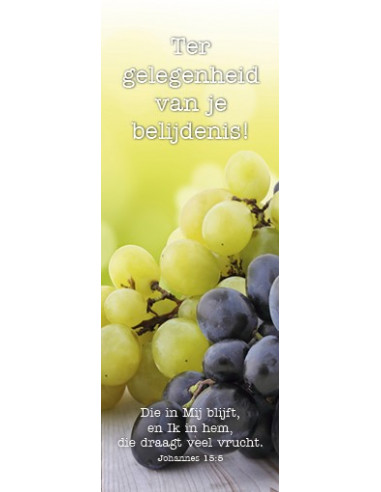 Boekenlegger tg van belijdenis Joh 15:5