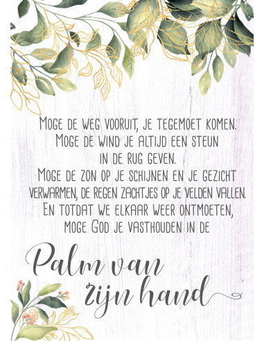 Palm van zijn hand