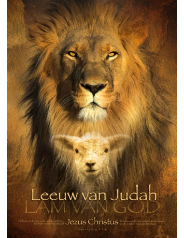 Poster Leeuw van Judah 50 x 70 cm