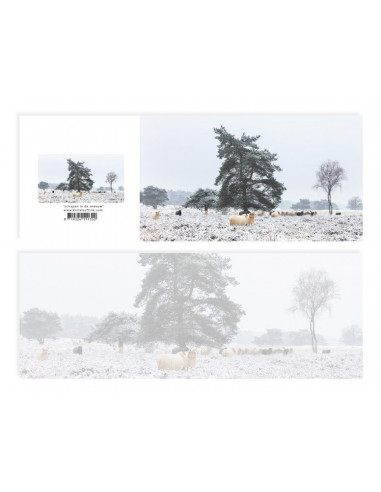 Panoramawenskaart Schapen in de sneeuw