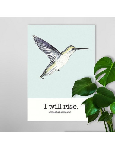 Poster a4 I will rise