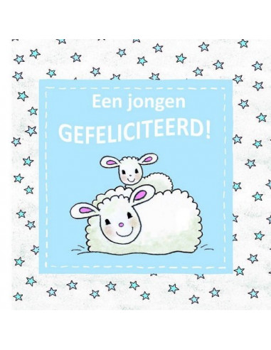 Dubbele kaart 12x12 een jongen gefelicit