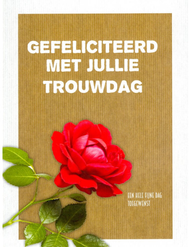 Kaart gefeliciteerd met jullie trouwdag