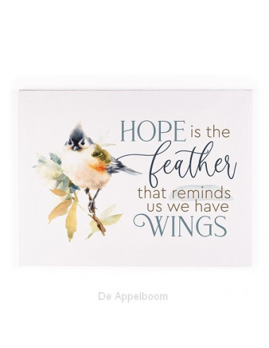 Hope Is The Feather That Reminds Us