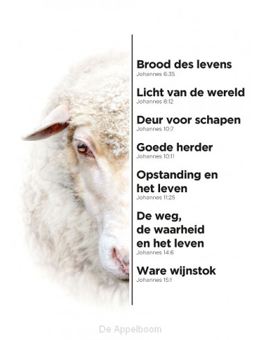 A4-bord schaap