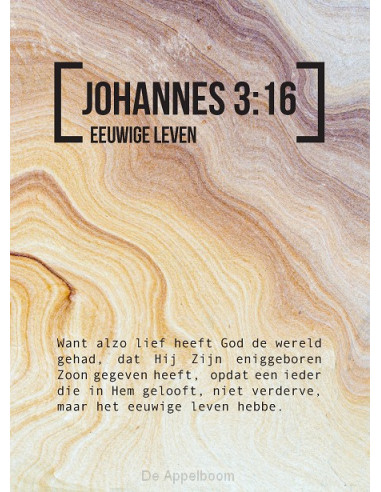 Bijbeltekstkaart johannes 3:16 sv