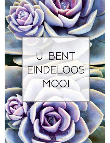 Poster a4 U bent eindeloos mooi