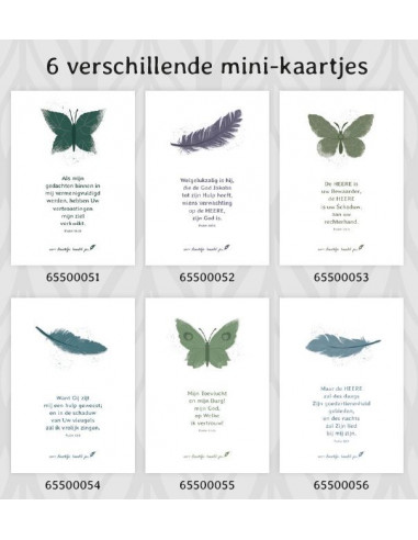 Setje 6 Minikaartjes SV