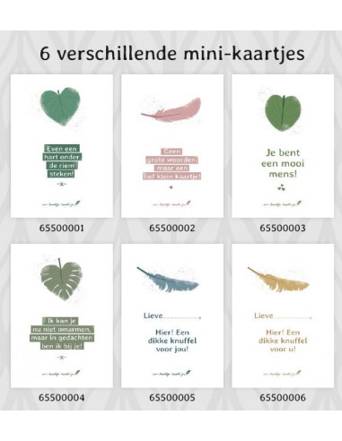 Setje 6 Minikaartjes Algemeen