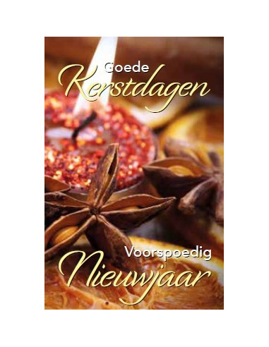 Goede Kerstdagen en Vnj