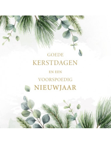 Kerstbox Goede K/N