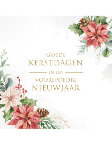 Kerstbox Goede K/N