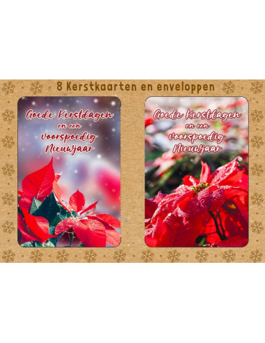 Kerstbox Goede K/N