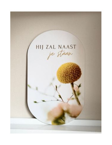 Muurvorm- Hij zal naast je staan