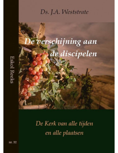 Verschijning aan de discipelen