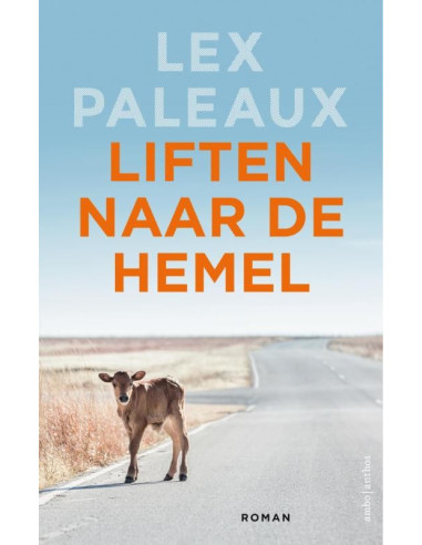 Liften naar de hemel