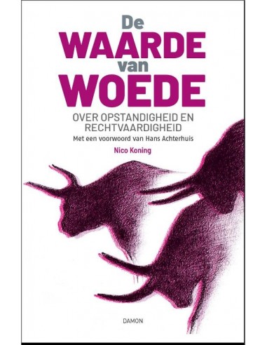 Waarde van woede