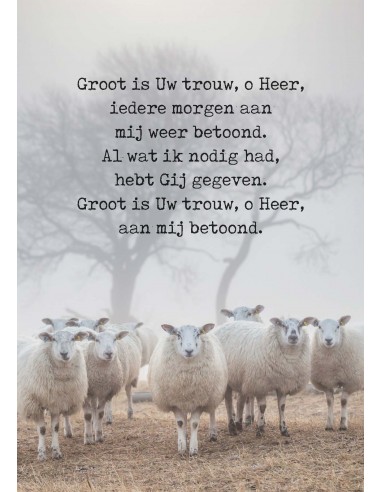 Poster wenskaart Groot is uw trouw