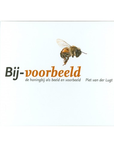 Bij-voorbeeld