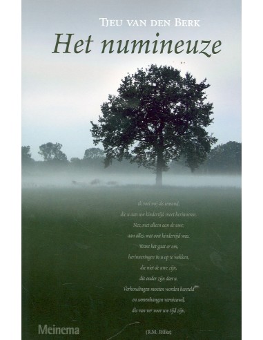 Het numineuze