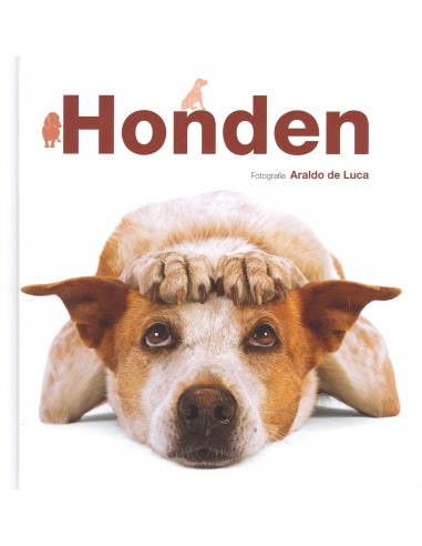 Honden