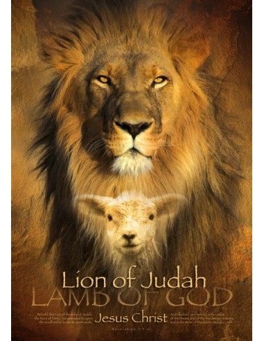 Poster A3 Lion of Judah