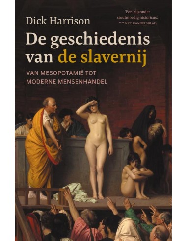 De geschiedenis van de slavernij